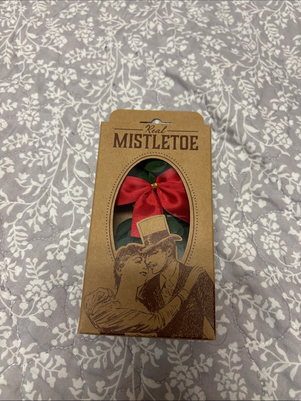 Real Mistletoe with Decorative Red Bow